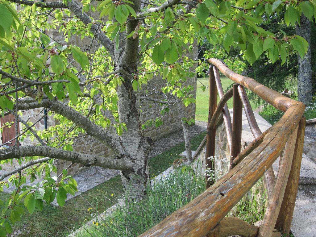 Bed And Breakfast Country Hill Αρέτσο Εξωτερικό φωτογραφία