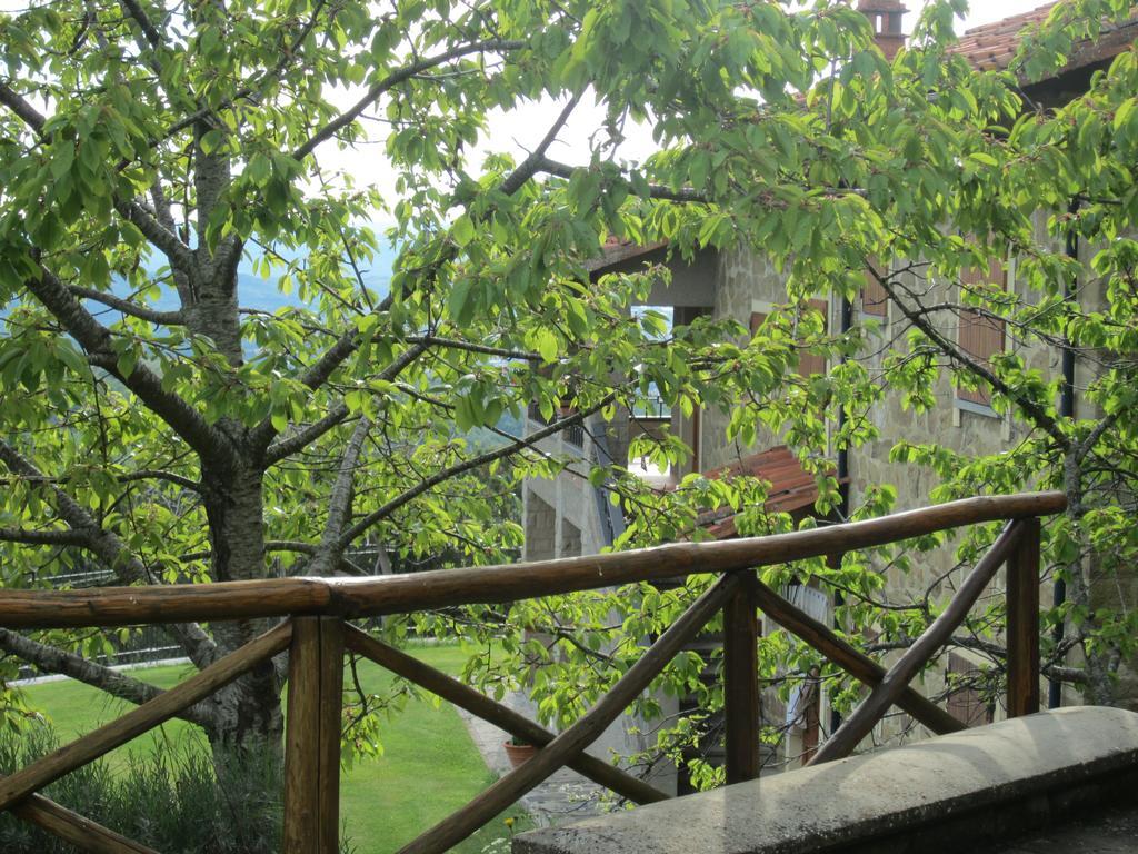 Bed And Breakfast Country Hill Αρέτσο Εξωτερικό φωτογραφία